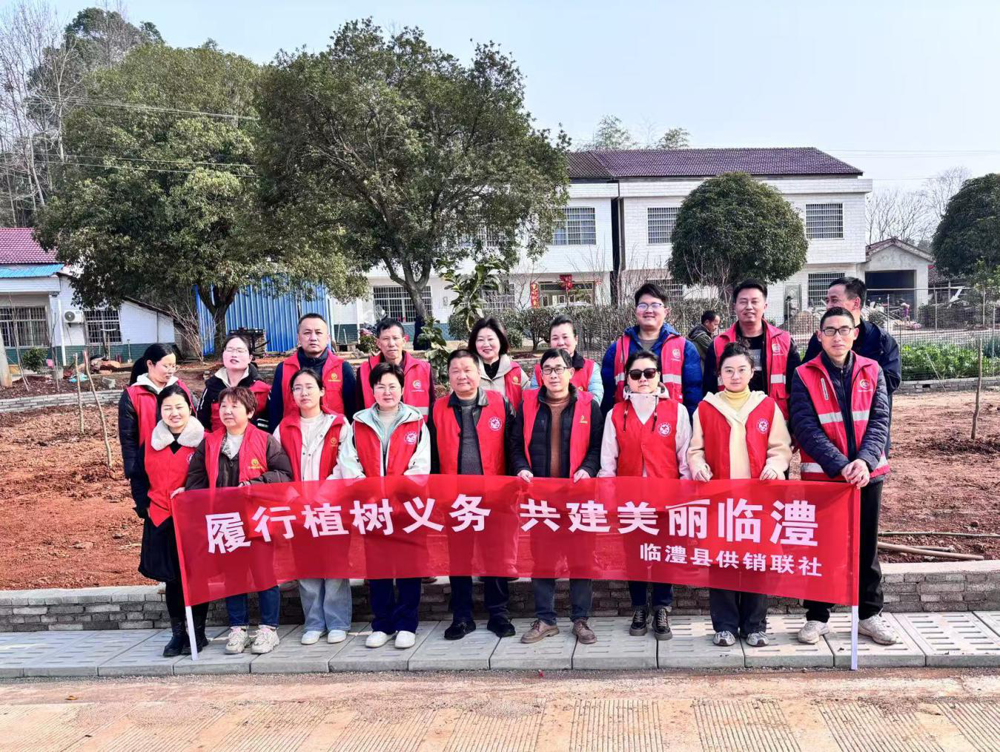 图片5