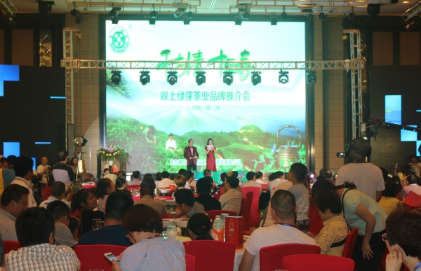 推介会全景.jpg